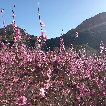 Apartamento Tranquilo Cerca De Zonas Verdes Cieza Exterior foto