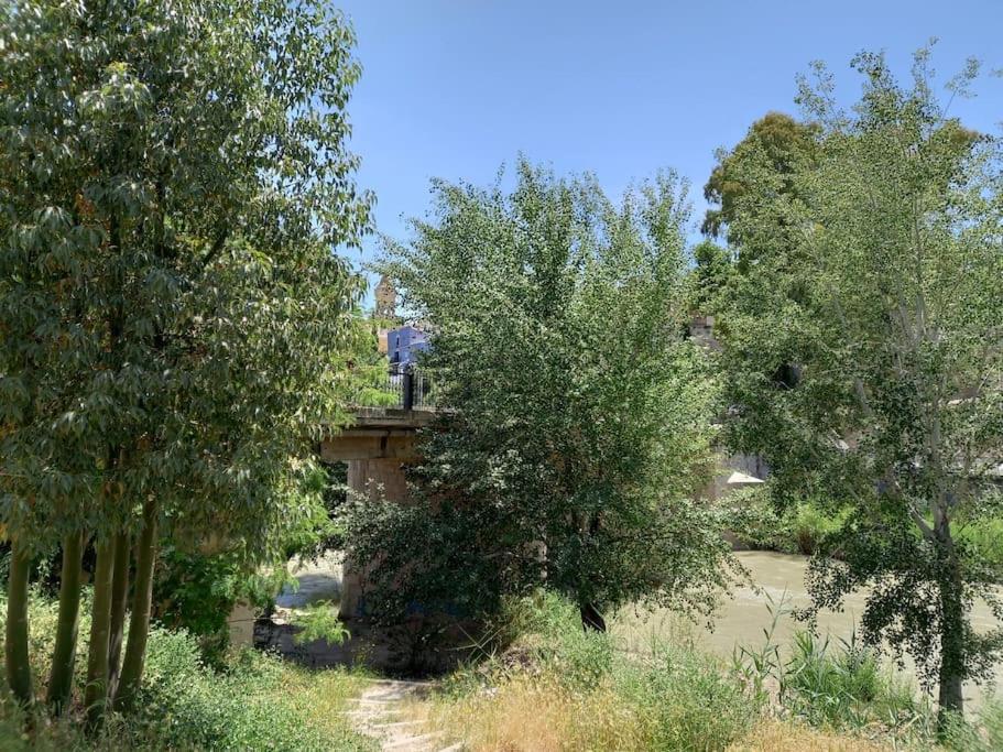 Apartamento Tranquilo Cerca De Zonas Verdes Cieza Exterior foto